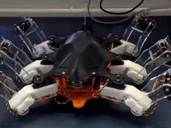 Hexapod