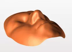 human face