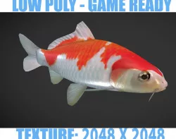 Koi fish Low-poly  3D model