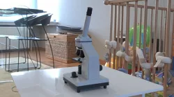 Microscope 3D model