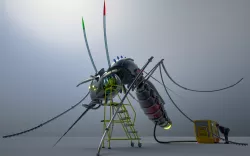 Mosquito_02 (render)