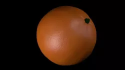 Orange 3D model