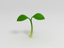 Plant Sprout 3D model