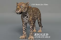 Rigged Leopard Maya 3D Model with 2K Textures 3D model