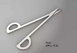 Scissor