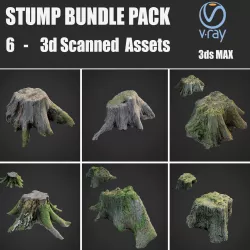 Stump bundle pack Low-poly  3D model