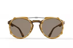 Sunglasses model P