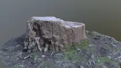 Tree stump Photo scanned lowpolly Low-poly  3D model