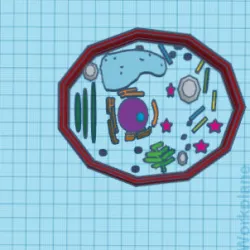 3d cell