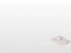 50 x 80