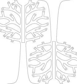 Arbol Aros