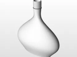 Bottle
