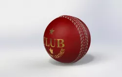 Cricket Ball