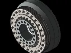 cycloidal gear