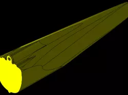 Modular HDPE Pontoon Hull
