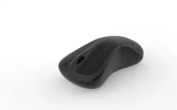 mouse
