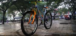 steel hardtail 29er frame