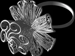 Nokta Ring