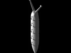 slug