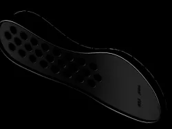 sole