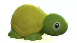 tortoise