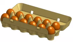Eggbox 12