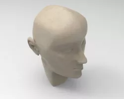 Human Head
