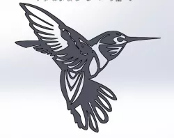 kingfisher  bird