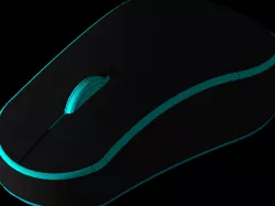 mouse