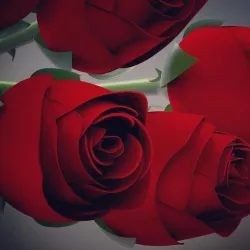 Rose Model