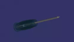 Screwdriver - surubelnita