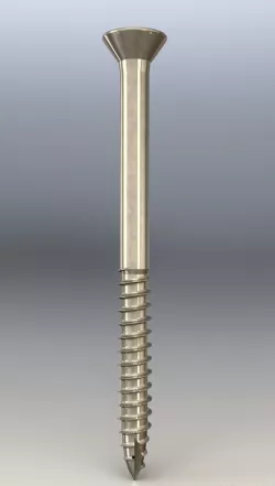 Self drilling 4mm woodscrew