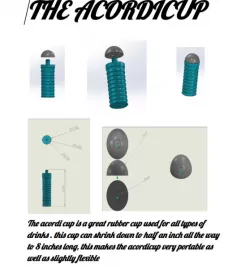 The Acordicup