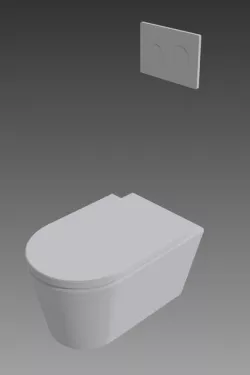 toilet