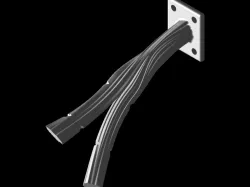 Tree Branch