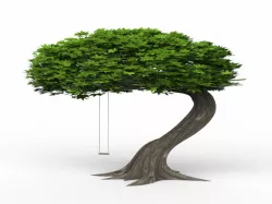 Tree with swing