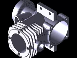 Two stroke petrol engine case