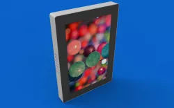 Wall Mount Display