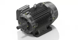 Weg - 324T Motor