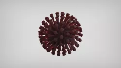 3D Organic Virus Shape