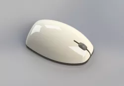Computer Mouse