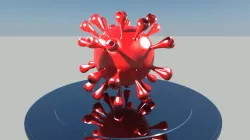 Corona virus