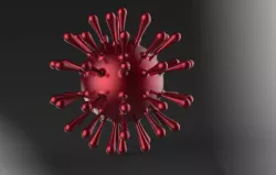 Corona Virus (Covid 19)