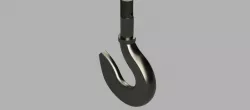 Crane hook