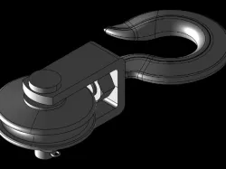 Crane hook