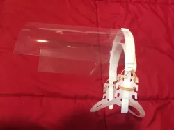 Face shield