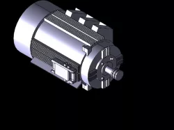 Induction/Asynchronous Motor