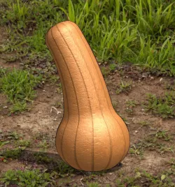 pumpkin butternut
