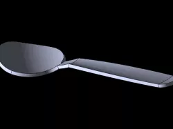 Spoon