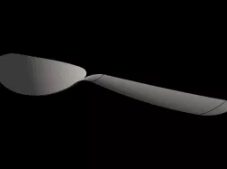 Spoon